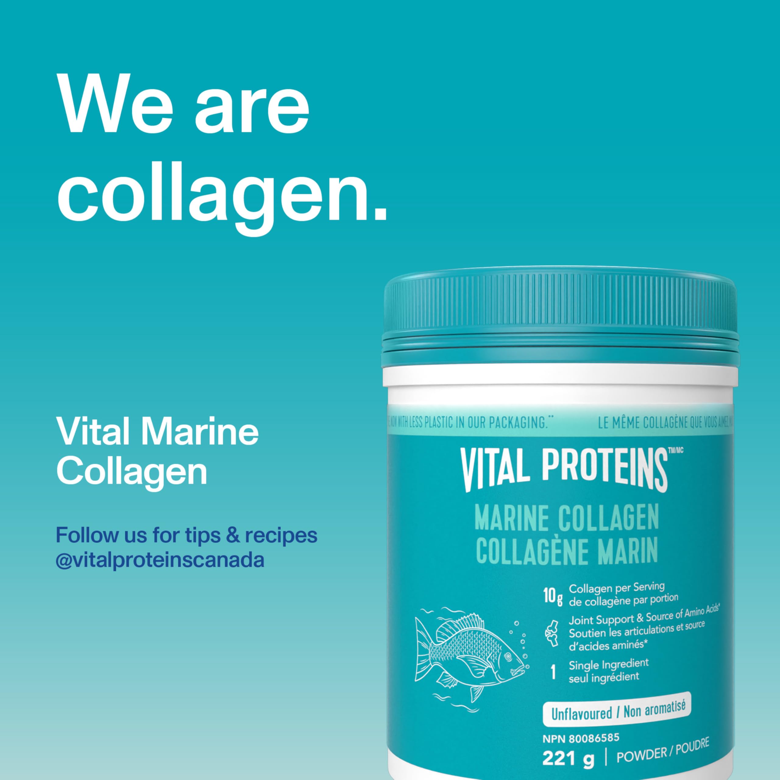 VITAL PROTEINS Marine Collagen Peptides Powder, 221 g | Helps Form